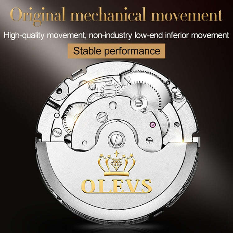 OLEVS 6607 Multi-function Men Big Flywheel Automatic Waterproof Mechanical Watch(Silver Gold Green)