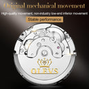 OLEVS 6607 Multi-function Men Big Flywheel Automatic Waterproof Mechanical Watch(Silver Gold Blue)