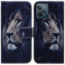 For OPPO Realme C31 Coloured Drawing Leather Phone Case(Lion)