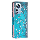 For Xiaomi 12 Pro Colored Drawing Pattern Leather Phone Case(Plum Blossom)