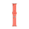 For Apple Watch Series 7 41mm / 6 & SE & 5 & 4 40mm / 3 & 2 & 1 38mm Mutural Liquid Silicone Watch Band(Orange)
