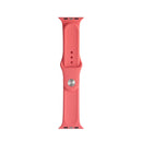 For Apple Watch Series 7 41mm / 6 & SE & 5 & 4 40mm / 3 & 2 & 1 38mm Mutural Liquid Silicone Watch Band(Watermelon Red)