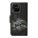 For Xiaomi Redmi 10C Colored Drawing Pattern Flip Leather Case(Black Cat)