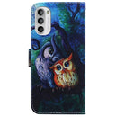 For Motorola Moto G52 Coloured Drawing Leather Phone Case(Oil Painting Owl)