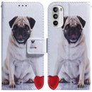 For Motorola Moto G52 Coloured Drawing Leather Phone Case(Pug)