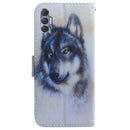 For Tecno Spark 8 Pro Coloured Drawing Leather Phone Case(White Wolf)