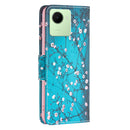 For Realme C30 Colored Drawing Pattern Leather Phone Case(Plum Blossom)