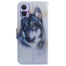 For Motorola Edge 30 Neo / Edge 30 Lite Coloured Drawing Leather Phone Case(White Wolf)