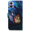 For Motorola Edge 30 Neo / Edge 30 Lite Coloured Drawing Leather Phone Case(Oil Painting Owl)