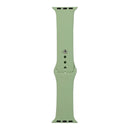 For Apple Watch Series 7 45mm / 6 & SE & 5 & 4 44mm / 3 & 2 & 1 42mm Silicone Watch Band, Long Section (Men)(Mint Green)