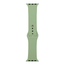 For Apple Watch Series 7 45mm / 6 & SE & 5 & 4 44mm / 3 & 2 & 1 42mm Silicone Watch Band, Short Section (female)(Mint Green)