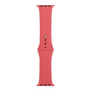 For Apple Watch Series 7 41mm / 6 & SE & 5 & 4 40mm / 3 & 2 & 1 38mm Silicone Watch Band, Short Section (female)(Camellia Red)