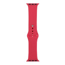 For Apple Watch Series 7 45mm / 6 & SE & 5 & 4 44mm / 3 & 2 & 1 42mm Silicone Watch Band, Long Section (Men)(Pomegranate)