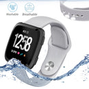 For Fitbit Versa 2 / Fitbit Versa / Fitbit Versa Lite Solid Color Silicone Watch Band, Size:L(Grey)