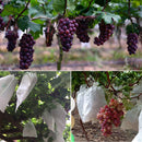1000 PCS Waterproof Grape Packaging Bag Paper Bag Fruit Protective Bag, Specification:22x31