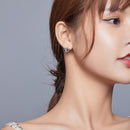 S925 Sterling Silver Dolphin Genie Zircon Women Earrings Jewelry
