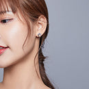 S925 Sterling Silver Dolphin Genie Zircon Women Earrings Jewelry