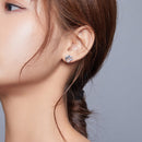 S925 Sterling Silver Dolphin Genie Zircon Women Earrings Jewelry