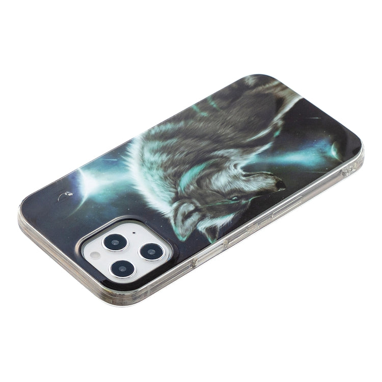 For iPhone 12 Pro Max Painted Pattern TPU Protective Case(Night Sky Wolf)