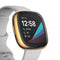 For Fitbit Versa 3 / Versa Sense Plating Full Package TPU Protective Case(Rose Gold)