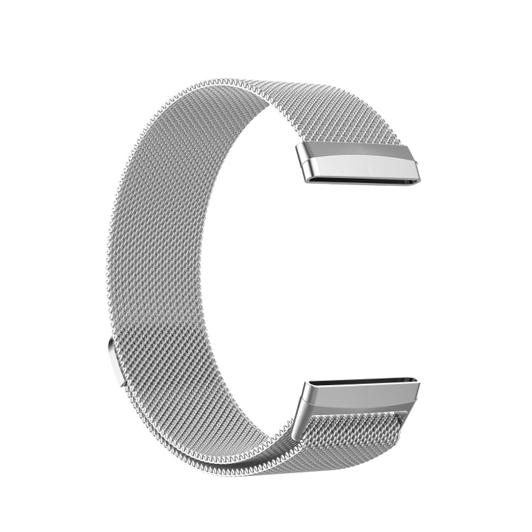 For Fitbit Versa 3 / Fitbit Magnetic Milano Watch Band, Size:Large Size(Silver)
