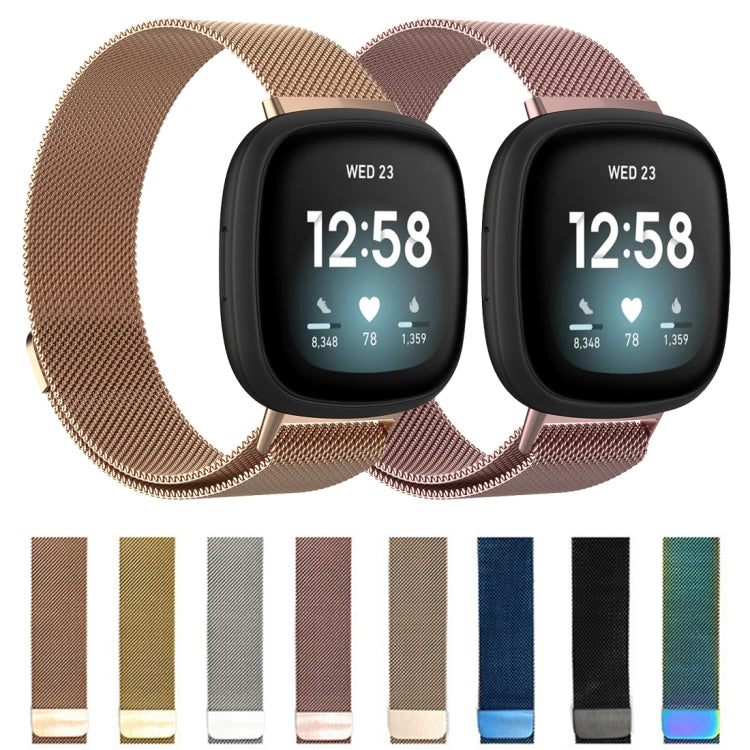 For Fitbit Versa 3 / Fitbit Magnetic Milano Watch Band, Size:Large Size(Silver)
