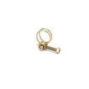 50 PCS M19 Adjustable Color Galvanized Iron Double Wire Hose Clamps