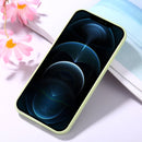 Magic Cube Frosted Silicone Shockproof Full Coverage Protective Case For iPhone 12 Pro Max(Green)