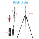 BEXIN BX255C K30 Portable Carbon Fiber Tripod for Camera Dslr