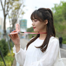 F20 Electroplating Handheld Fan Portable Desktop Folding Mute USB Hanging Neck Fan (White)