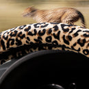 1 Pc Leopard Print Plush Car SUV Steering Wheel Cover Keep Warm EPN New