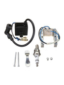 1 Set CDI Ignition Coil Magneto 49-80cc 2-Stroke Engine Motorized Bike Parts