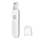YJK063 Ultrasonic Ion Cleanser Micro-current Massage Beauty Introduction Instrument (Silver)
