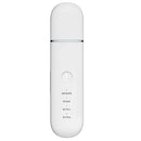 YJK063 Ultrasonic Ion Cleanser Micro-current Massage Beauty Introduction Instrument (Silver)