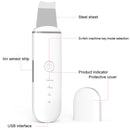 YJK063 Ultrasonic Ion Cleanser Micro-current Massage Beauty Introduction Instrument (Silver)