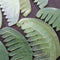 1x Natural Jade Gua Sha Acupoint Massage Comb Scalp Massager Relaxation Comb