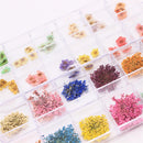 DIY Women Manicure Nail Art Decoration Case Dried Small Flowers Box 12 Colors
