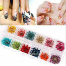 DIY Women Manicure Nail Art Decoration Case Dried Small Flowers Box 12 Colors