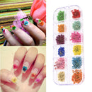 DIY Women Manicure Nail Art Decoration Case Dried Small Flowers Box 12 Colors