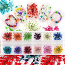 DIY Women Manicure Nail Art Decoration Case Dried Small Flowers Box 12 Colors