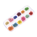 DIY Women Manicure Nail Art Decoration Case Dried Small Flowers Box 12 Colors