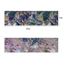 Shell Nail Foils Starry Sky Nail Art Transfer Stickers Decoration Tips New