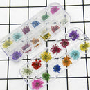 24* Real Pressed Natural Dried Flowers for DIY Phone Case Decoration Craft New