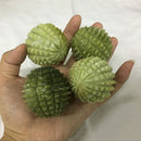 Massage-Ball Hand-Exercise-Tool Jade-Stone Natural Acupuncture