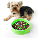 Pet Bowl Preventing Choking PP Materia Bowl (Green)