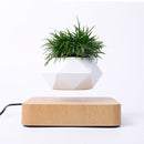 Diamond Plastic Flower Pot + Light Wood Grain Base Magnetic Levitation Potted Plant Home Decoration, US Plug