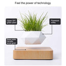 Diamond Plastic Flower Pot + Light Wood Grain Base Magnetic Levitation Potted Plant Home Decoration, US Plug