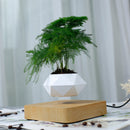 Diamond Plastic Flower Pot + Light Wood Grain Base Magnetic Levitation Potted Plant Home Decoration, US Plug
