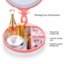 Multi-function Fashion Touch Switch USB Charging Colorful Makeup Mirror LED Desk Lamp Atmosphere Light with Storage Box, DC 5V(Pink)