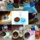 2 in 1 Stainless Steel Bowls, Anti-slippery Mat Detachable Pets Bowls(Blue)